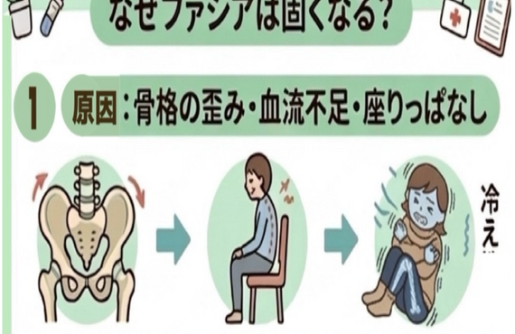 カイロプラクティックはマッサージではないーファシアリリースで根本解決｜医院KAORItheChiroで根本治療