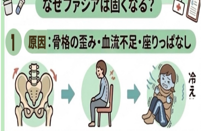 カイロプラクティックはマッサージではないーファシアリリースで根本解決｜医院KAORItheChiroで根本治療