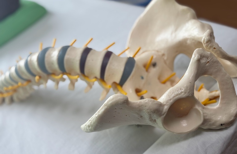 整体とカイロプラクティックの違いとは？｜医院KAORItheChiro