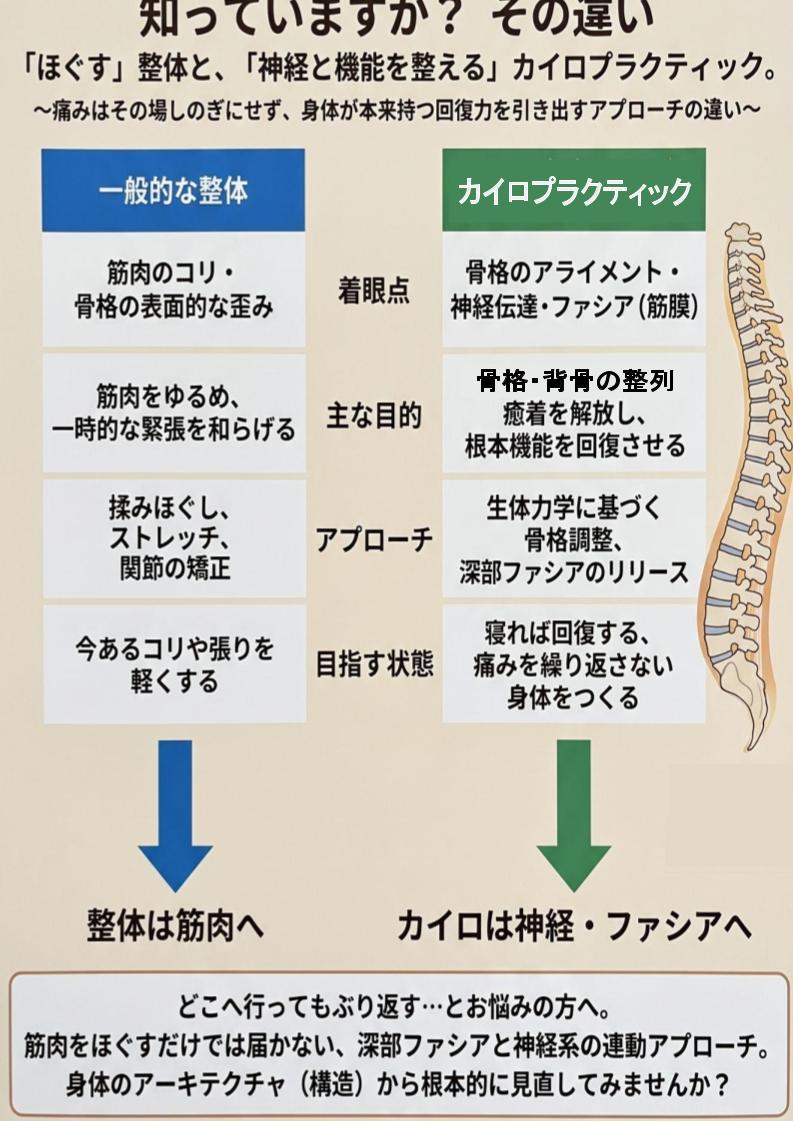整体との違い